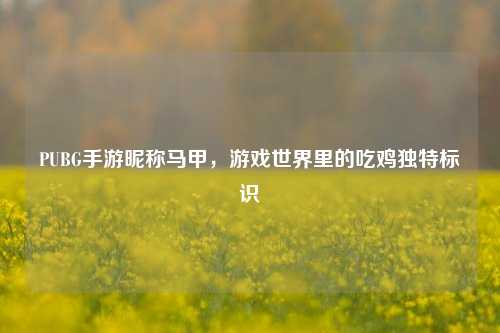 PUBG手游昵称马甲,游戏世界里的吃鸡独特标识