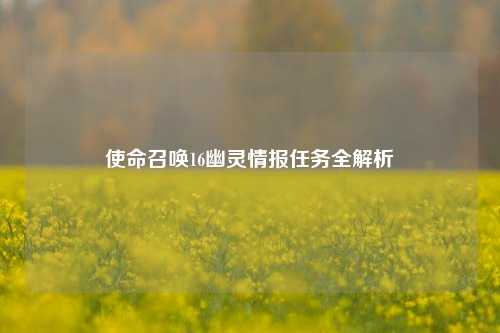 使命召唤16幽灵情报任务全解析