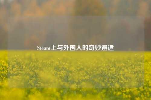 Steam上与外国人的奇妙邂逅