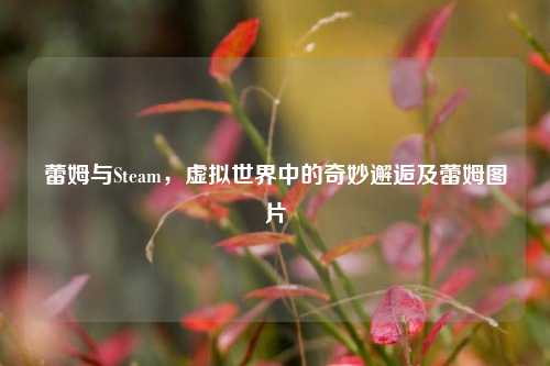 蕾姆与Steam,虚拟世界中的奇妙邂逅及蕾姆图片