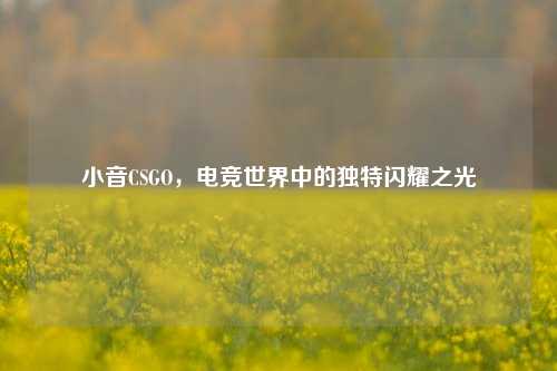 小音CSGO,电竞世界中的独特闪耀之光