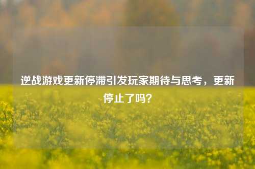 逆战游戏更新停滞引发玩家期待与思考,更新停止了吗?