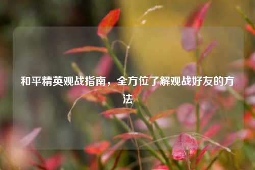 和平精英观战指南,全方位了解观战好友的方法