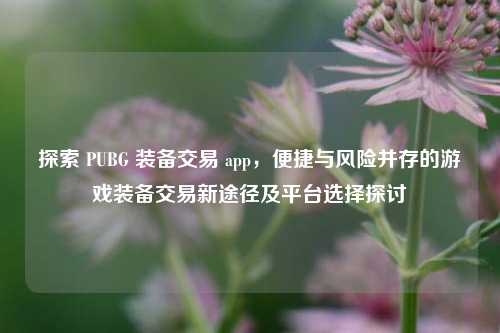 探索 PUBG 装备交易 app,便捷与风险并存的游戏装备交易新途径及平台选择探讨