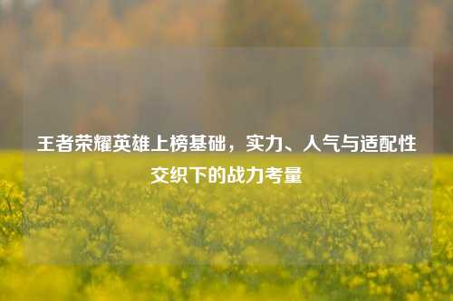 王者荣耀英雄上榜基础，实力、人气与适配性交织下的战力考量