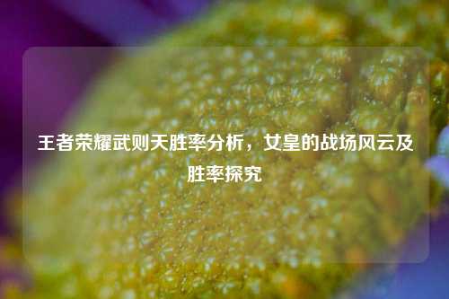 王者荣耀武则天胜率分析,女皇的战场风云及胜率探究
