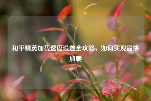 和平精英加载速度设置全攻略,如何实现最快加载
