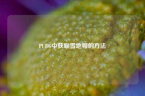 PUBG中获取雪地帽的方法