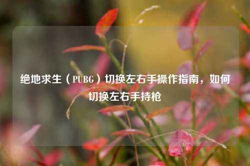 绝地求生（PUBG）切换左右手操作指南，如何切换左右手持枪