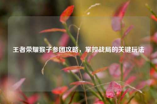 王者荣耀猴子参团攻略,掌控战局的关键玩法