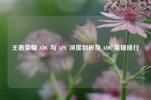 王者荣耀 ADC 与 APC 深度剖析及 ADC 英雄排行