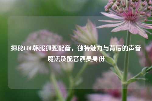 探秘LOL韩服狐狸配音,独特魅力与背后的声音魔法及配音演员身份