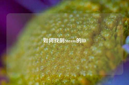如何找到Steam的ID