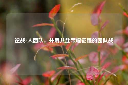 逆战8人团队，并肩共赴荣耀征程的团队战