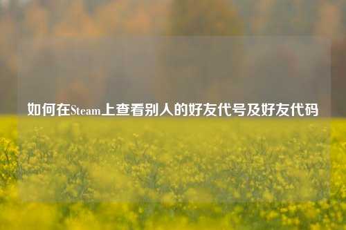 如何在Steam上查看别人的好友代号及好友代码
