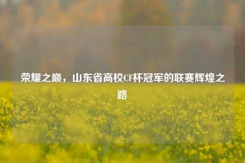 荣耀之巅,山东省高校CF杯冠军的联赛辉煌之路