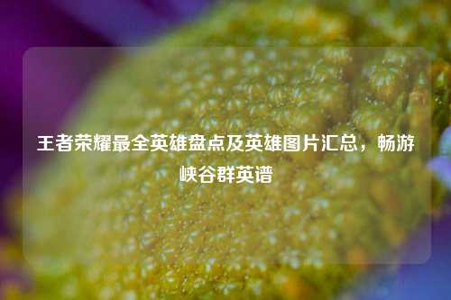 王者荣耀最全英雄盘点及英雄图片汇总,畅游峡谷群英谱
