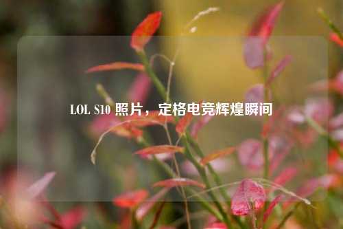 LOL S10 照片,定格电竞辉煌瞬间