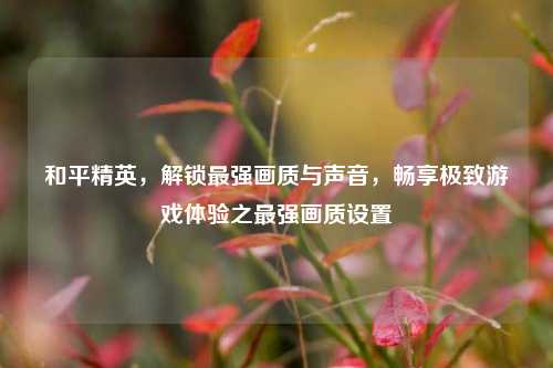 和平精英,解锁最强画质与声音,畅享极致游戏体验之最强画质设置