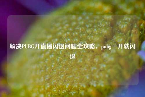 解决PUBG开直播闪退问题全攻略，pubg一开就闪退