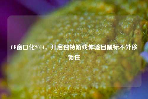 CF窗口化2014，开启独特游戏体验且鼠标不外移锁住