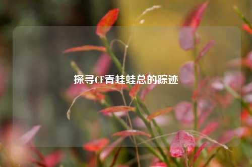 探寻CF青蛙蛙总的踪迹