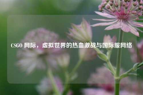 CSGO 网际，虚拟世界的热血激战与国际服网络