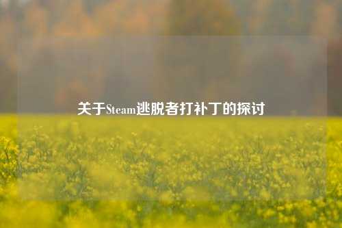 关于Steam逃脱者打补丁的探讨