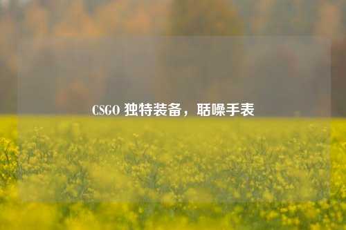 CSGO 独特装备,聒噪手表