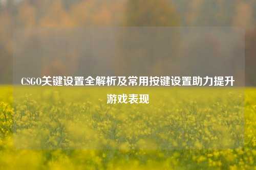 CSGO关键设置全解析及常用按键设置助力提升游戏表现
