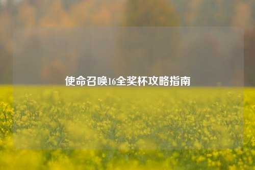 使命召唤16全奖杯攻略指南