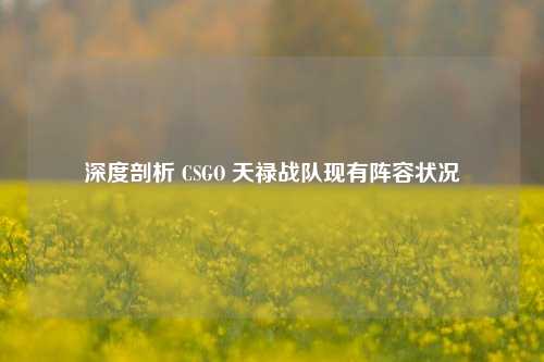 深度剖析 CSGO 天禄战队现有阵容状况