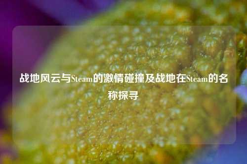 战地风云与Steam的激情碰撞及战地在Steam的名称探寻