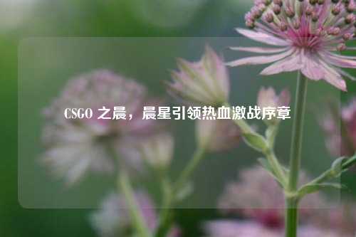 CSGO 之晨，晨星引领热血激战序章