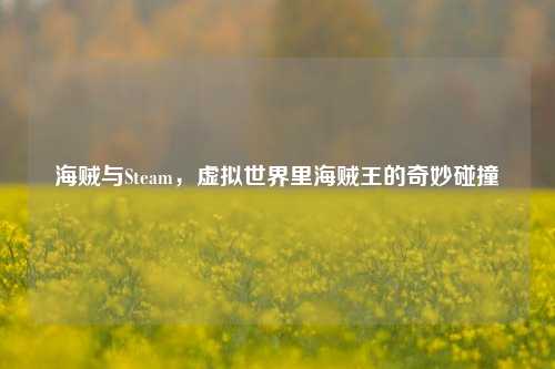 海贼与Steam,虚拟世界里海贼王的奇妙碰撞