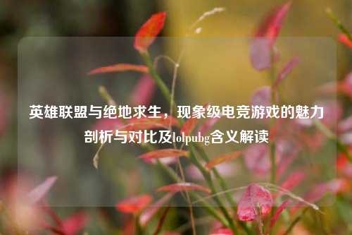 英雄联盟与绝地求生,现象级电竞游戏的魅力剖析与对比及lolpubg含义解读