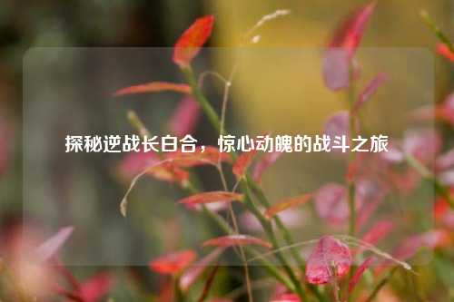 探秘逆战长白合，惊心动魄的战斗之旅