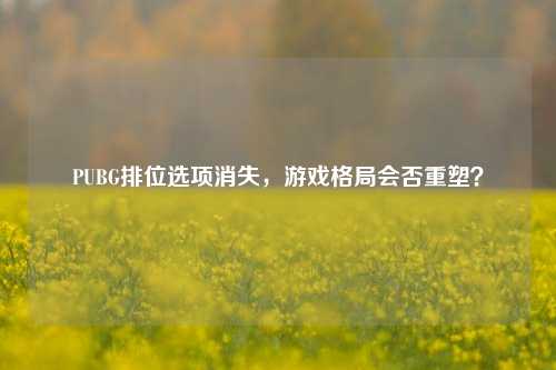 PUBG排位选项消失,游戏格局会否重塑?