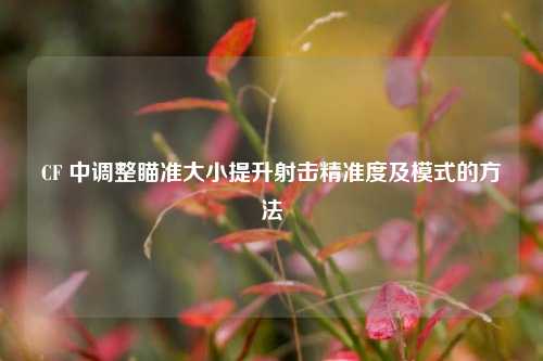 CF 中调整瞄准大小提升射击精准度及模式的方法