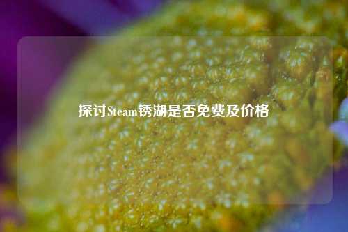 探讨Steam锈湖是否免费及价格