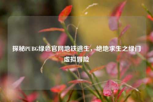 探秘PUBG绿色官网地铁逃生，绝地求生之绿门虚拟冒险