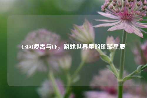 CSGO凌霄与CF,游戏世界里的璀璨星辰