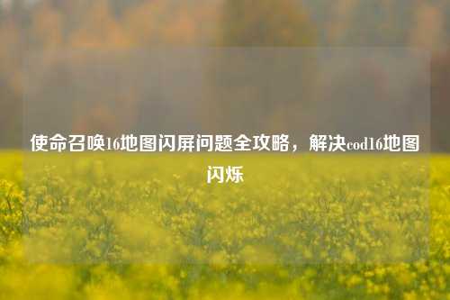 使命召唤16地图闪屏问题全攻略,解决cod16地图闪烁