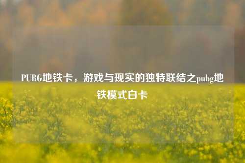 PUBG地铁卡,游戏与现实的独特联结之pubg地铁模式白卡