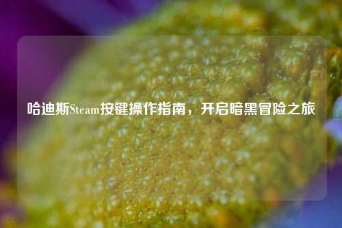 哈迪斯Steam按键操作指南,开启暗黑冒险之旅