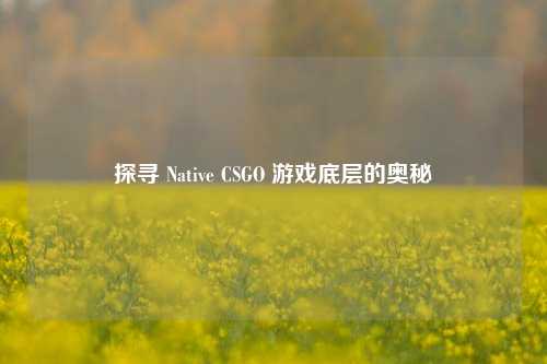 探寻 Native CSGO 游戏底层的奥秘