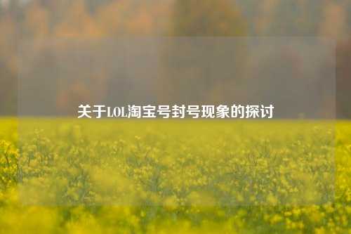 关于LOL淘宝号封号现象的探讨