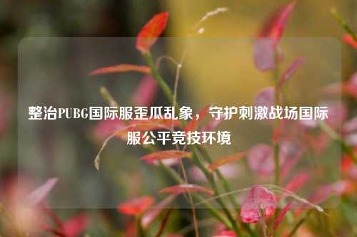 整治PUBG国际服歪瓜乱象，守护刺激战场国际服公平竞技环境