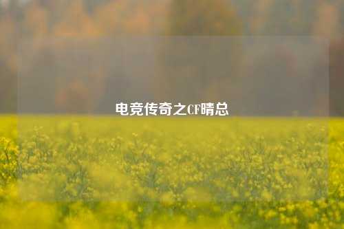 电竞传奇之CF晴总