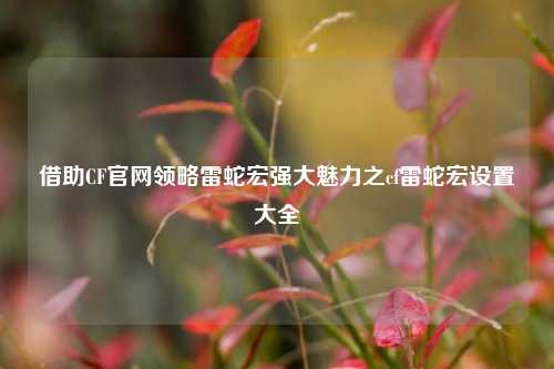 借助CF官网领略雷蛇宏强大魅力之cf雷蛇宏设置大全